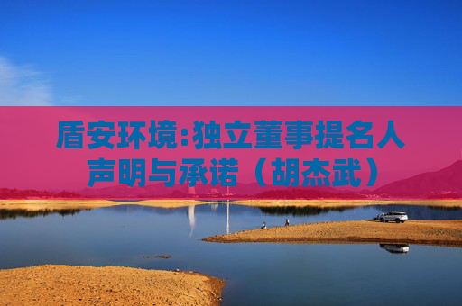 盾安环境:独立董事提名人声明与承诺（胡杰武）