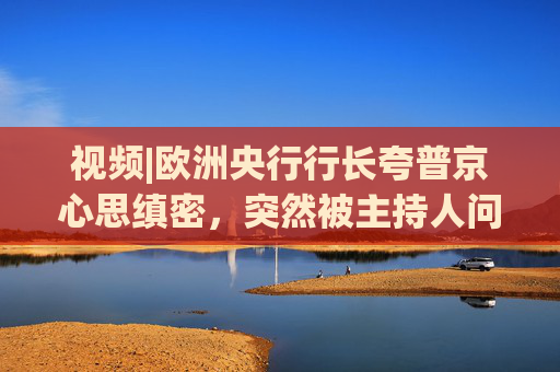 视频|欧洲央行行长夸普京心思缜密，突然被主持人问“特朗普是不是截然相反” 表情亮了