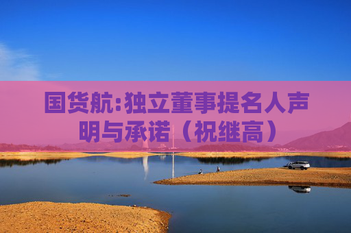 国货航:独立董事提名人声明与承诺（祝继高）  第1张