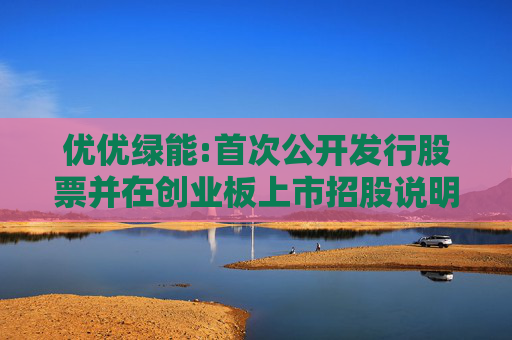 优优绿能:首次公开发行股票并在创业板上市招股说明书