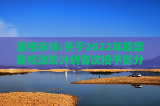 麦格米特:关于2022年股票期权激励计划首次授予部分第三个行权期及预留授予部分第二个行权期行权条件成就的公告
