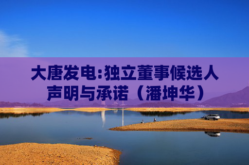大唐发电:独立董事候选人声明与承诺（潘坤华）
