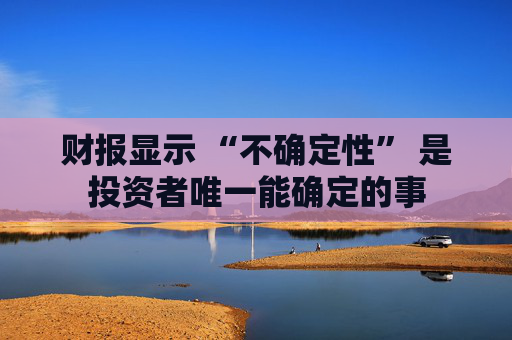财报显示 “不确定性” 是投资者唯一能确定的事