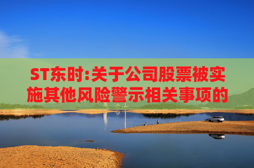 ST东时:关于公司股票被实施其他风险警示相关事项的进展公告