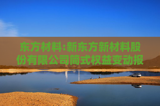 东方材料:新东方新材料股份有限公司简式权益变动报告书（江苏特丽亮新材料科技有限公司）