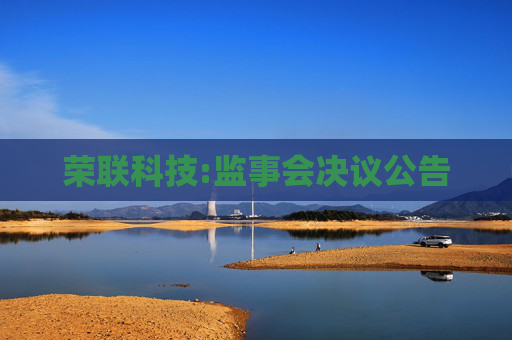 荣联科技:监事会决议公告