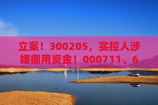 立案！300205，实控人涉嫌挪用资金！000711、603377，涉嫌信披违法违规！