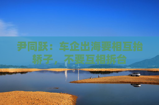 尹同跃：车企出海要相互抬轿子，不要互相拆台