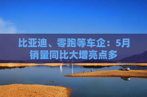 比亚迪、零跑等车企：5月销量同比大增亮点多