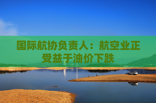 国际航协负责人：航空业正受益于油价下跌