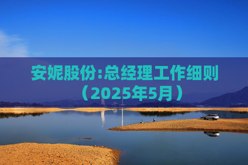 安妮股份:总经理工作细则（2025年5月）
