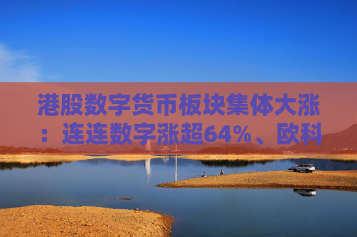 港股数字货币板块集体大涨：连连数字涨超64%、欧科云链涨超41%