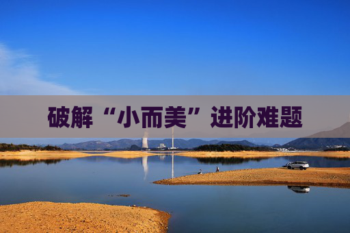 破解“小而美”进阶难题