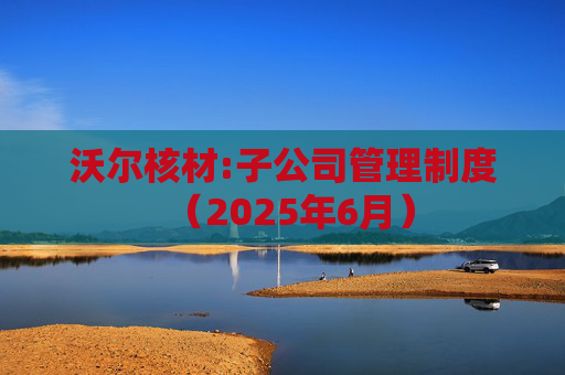 沃尔核材:子公司管理制度（2025年6月）