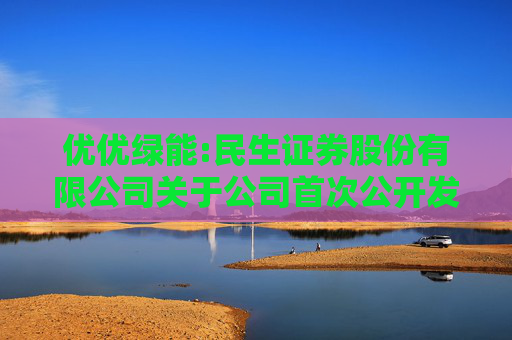 优优绿能:民生证券股份有限公司关于公司首次公开发行股票并在创业板上市的上市保荐书
