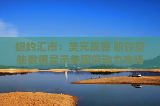 纽约汇市：美元反弹 职位空缺数据显示美国劳动力市场依然稳健