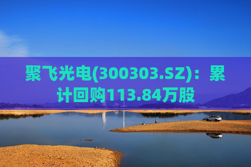 聚飞光电(300303.SZ)：累计回购113.84万股