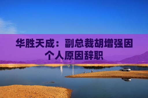 华胜天成：副总裁胡增强因个人原因辞职  第1张