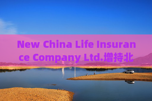 New China Life Insurance Company Ltd.增持北京控股(00392)10万股 每股作价约为33.12港元