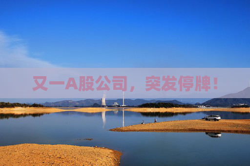 又一A股公司，突发停牌！