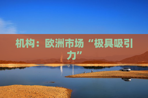 机构：欧洲市场“极具吸引力”