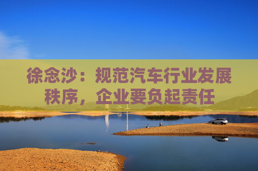 徐念沙：规范汽车行业发展秩序，企业要负起责任