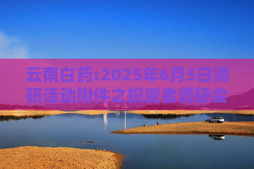 云南白药:2025年6月5日调研活动附件之投资者调研会议记录