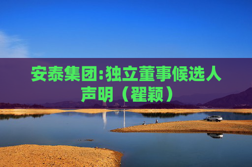 安泰集团:独立董事候选人声明（翟颖）