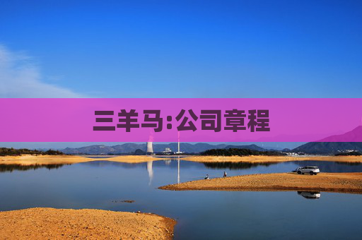 三羊马:公司章程