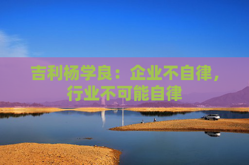 吉利杨学良：企业不自律，行业不可能自律