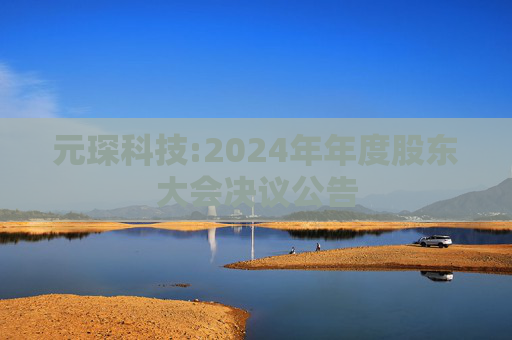 元琛科技:2024年年度股东大会决议公告