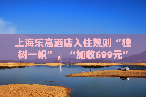上海乐高酒店入住规则“独树一帜”，“加收699元”引质疑