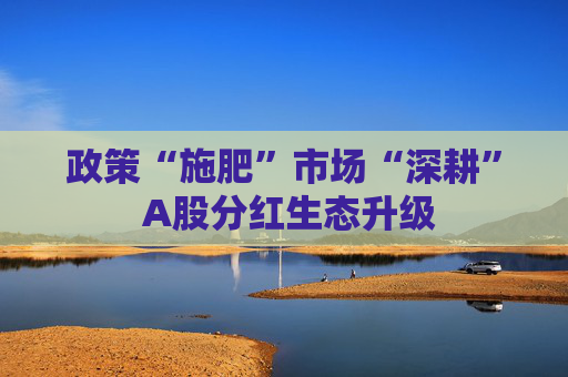 政策“施肥”市场“深耕” A股分红生态升级