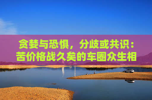 贪婪与恐惧，分歧或共识：苦价格战久矣的车圈众生相  第1张