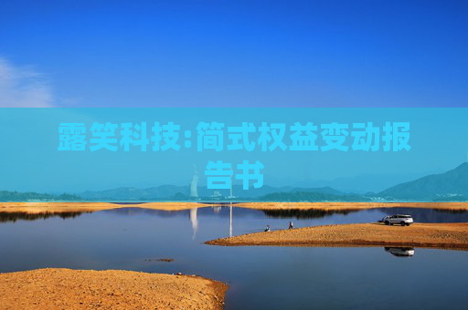 露笑科技:简式权益变动报告书