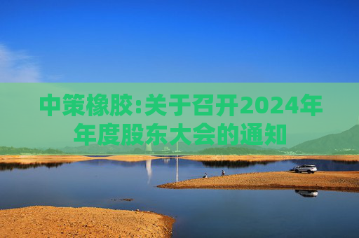 中策橡胶:关于召开2024年年度股东大会的通知