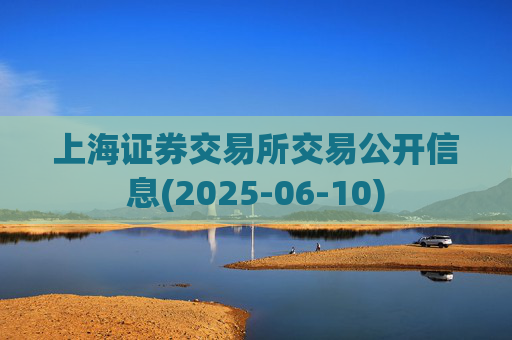 上海证券交易所交易公开信息(2025-06-10)