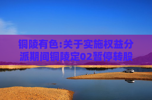 铜陵有色:关于实施权益分派期间铜陵定02暂停转股的公告