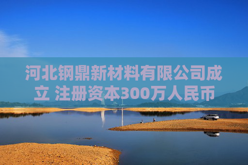 河北钢鼎新材料有限公司成立 注册资本300万人民币