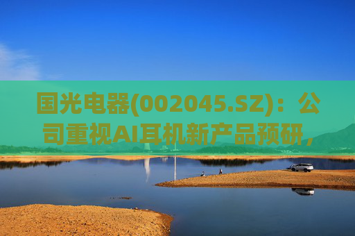 国光电器(002045.SZ)：公司重视AI耳机新产品预研，暂未实现量产  第1张