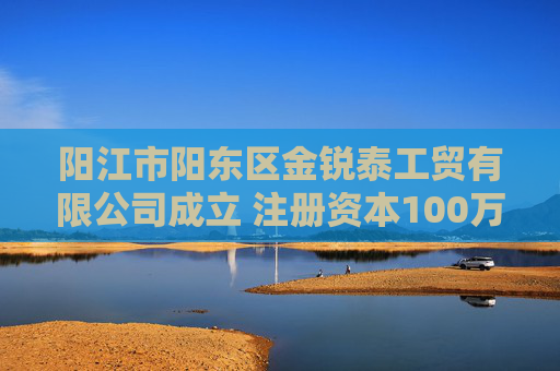阳江市阳东区金锐泰工贸有限公司成立 注册资本100万人民币