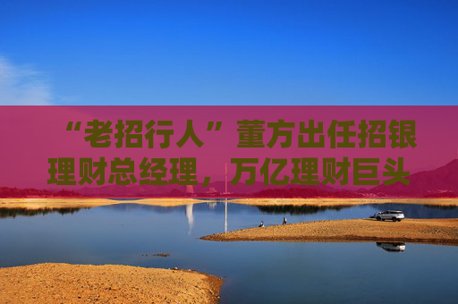 “老招行人”董方出任招银理财总经理，万亿理财巨头如何破局规模和业绩下行？  第1张