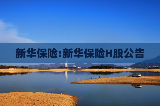 新华保险:新华保险H股公告