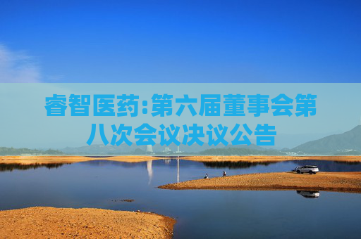 睿智医药:第六届董事会第八次会议决议公告