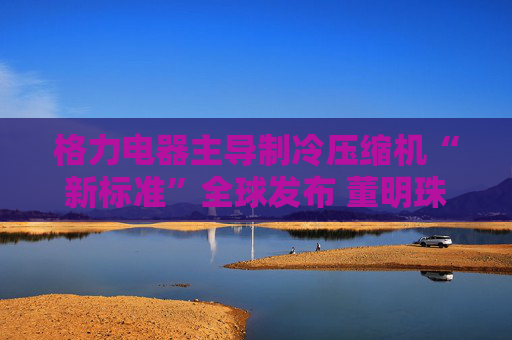 格力电器主导制冷压缩机“新标准”全球发布 董明珠：消费者的需要才是真正的标准  第1张