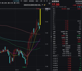 机构1.68亿元举牌上市公司！ “85后”成都牛散操盘，成立才1天！