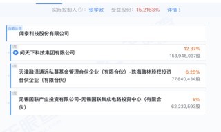 闻泰科技135亿“埋单”！能解安世半导体“锁喉”危机？