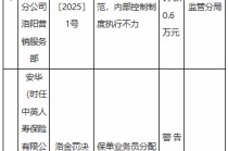 中英人寿河南分公司洛阳营销服务部被罚0.6万元：保单业务员分配工作开展不规范等