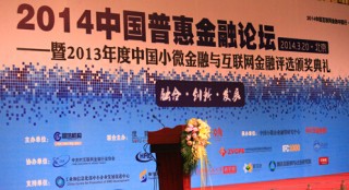 如何理解特定金融术语含义？这些术语对投资决策有何影响？