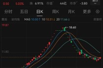 曾经的“12连板”大牛股，重要公告！